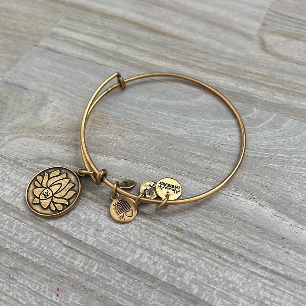 Alex and Ani energy bangle